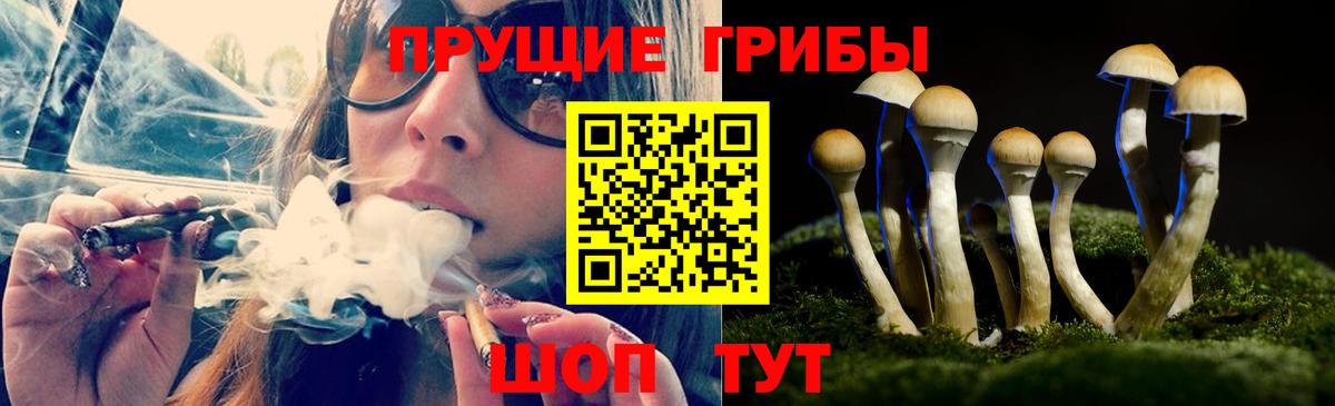 Гуково  закладка  Вход с VPN  Псилоцибиновые грибы MAGIC MUSHROOMS 