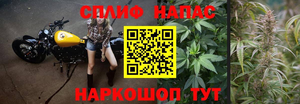 Каннабис марихуана Гуково